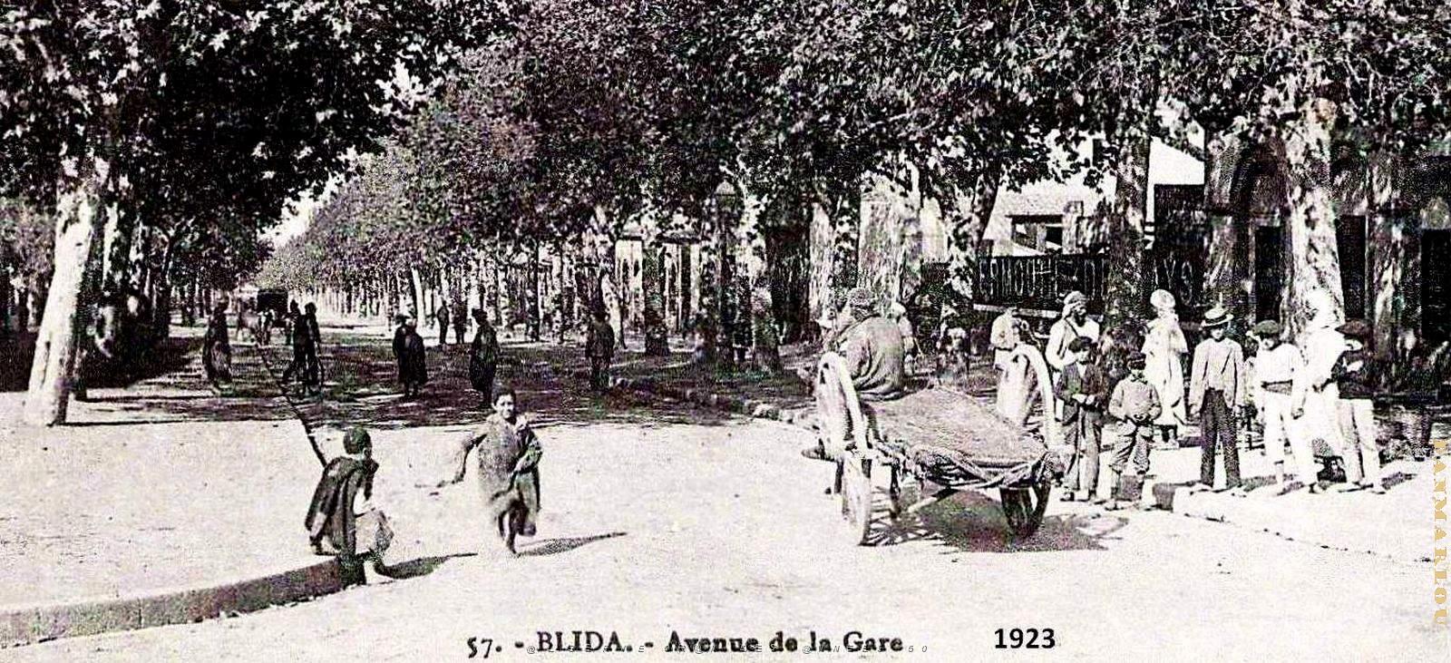 2879- Blida - Avenue de la Gare2 - 1923.jpg
